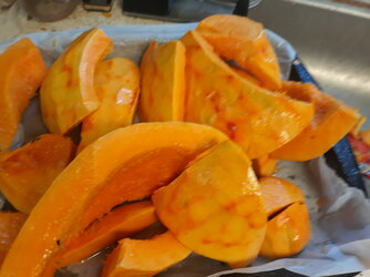 20201003_120043.jpg