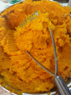 20201003_125442.jpg