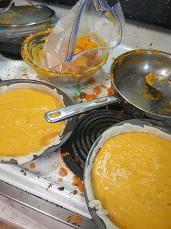 20201003_130755.jpg