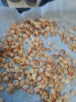 20201003_131154.jpg