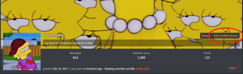 profilebanner.png
