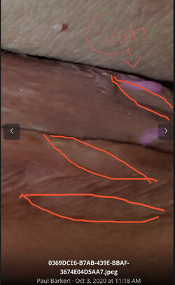 F85DD115-8A40-4430-9D12-6CD65AD4E1F3.jpeg