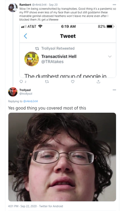 theydy 12.png