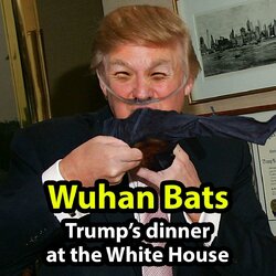 Trump bat dinner Wuhan Wildwings - Copy.jpg