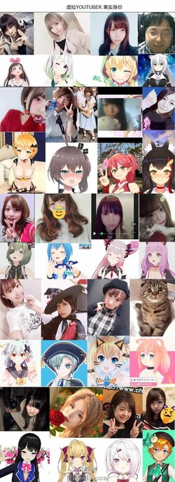 vtuber face dox.jpg