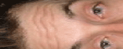 0000057335.gif