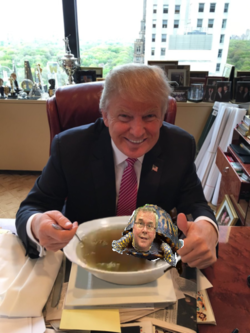 trump_turtle_soup.png