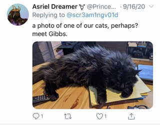 A3BE424F-549A-47BD-AF2A-497F610E8CED.jpeg