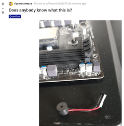 stupid.png