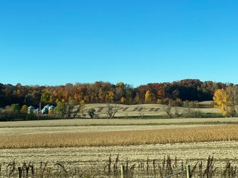 D989E55D-C0DC-4B17-BD94-2A1C4D985C95.jpeg