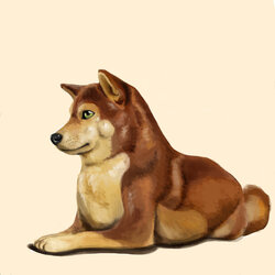 shibe.jpg