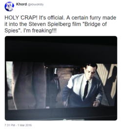 53