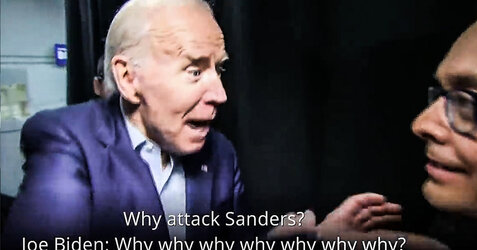 2020-01-23-joe-biden-why-why-why.jpg