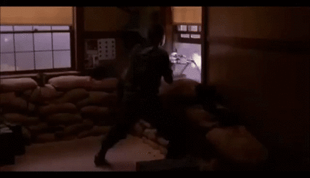 CompetentTemptingBettong-size_restricted.gif