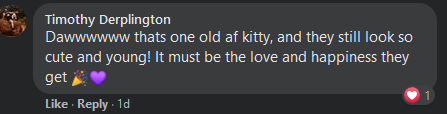 Timothy Derplington2.PNG
