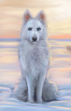 1603066079187.png