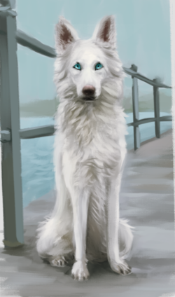 1603066280317.png