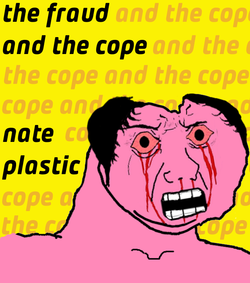 1603077379234.png