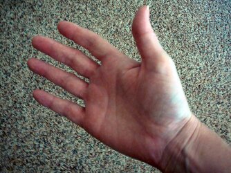 Right Hand.jpg
