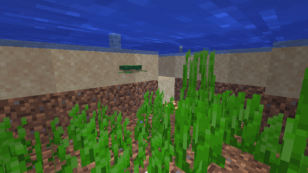 2020-08-06_10.20.22.png