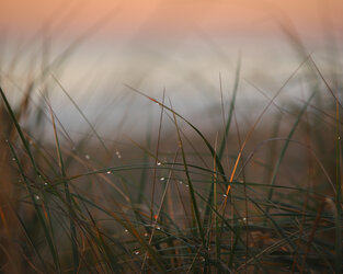 thebetterones-12.jpg