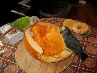 pearlmarshallpumpkin.jpg