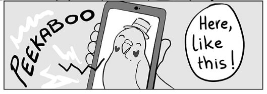 budge 6.jpg