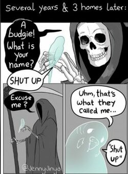 budge 15.jpg