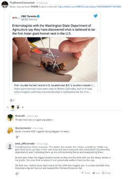 OAG hornets.jpg