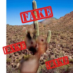 DeepnudeCactus.jpg