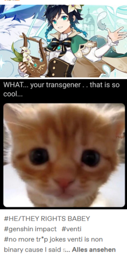 tranny stuff.PNG