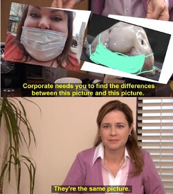 2h6pgx.jpg