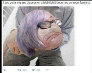 1604263459431.png