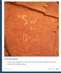tumblr_mqm5p2wtvg1s5cgdwo1_500.png