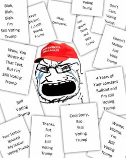 Still_Voting_Trump_lel.jpg