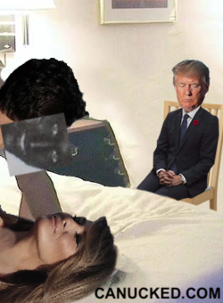 Donald_prefers_watching.png