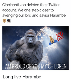 cincinnati-zoo-deleted-their-twitter-account-we-one-step-closer-3359634.png