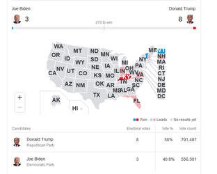 FireShot Screen Capture #672 - 'election 2020 usa - Google Search' - www_google_com_search_sou...png