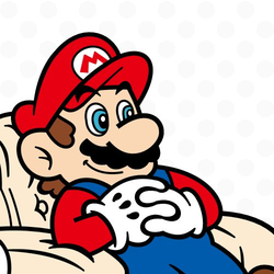 243.png