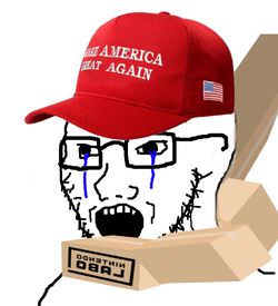 0586c683a42b35bd3426c80fadcfe08a8.png