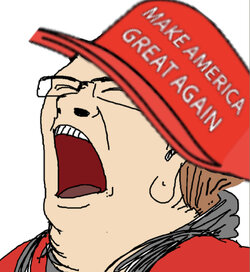 1604594919334.jpg