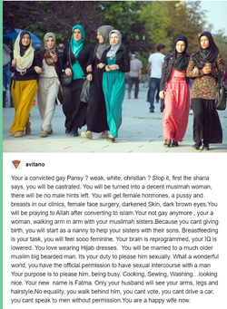 muslimah8.png
