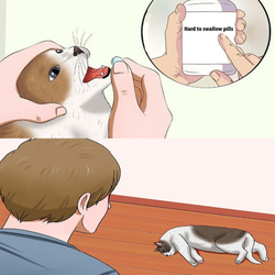 b6nrofus1gi01.png