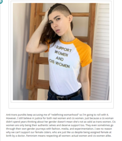 screenshot-elierlick-tumblr-com-post-182258309349-anti-trans-pundits-keep-accusing-me-of-redef...png