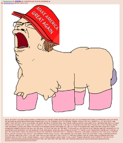 Untitled.png