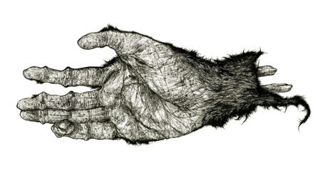 1605045474945.png