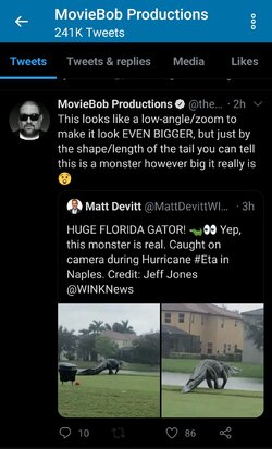 Screenshot_20201112-101605_Twitter.jpg