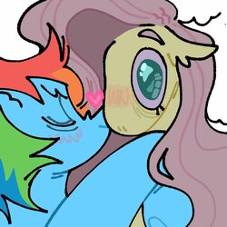 imageproxy.jpg