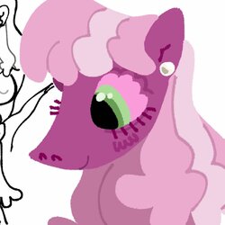 neigh.jpg