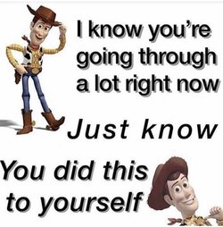 YOU DID THIS TO YOURSELF.jpg